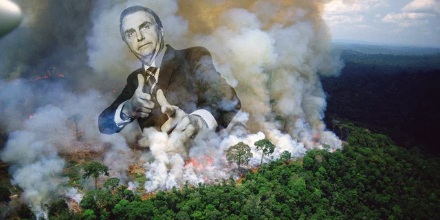 Bolsonara, Brazil, populism, amazon fires