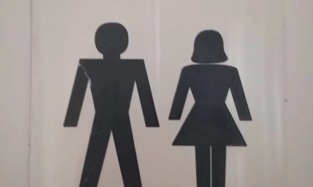 A black on white depiction of the classic female and male toilet pictograms