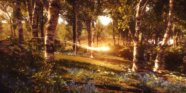A ball of light moving through a picturesque forest