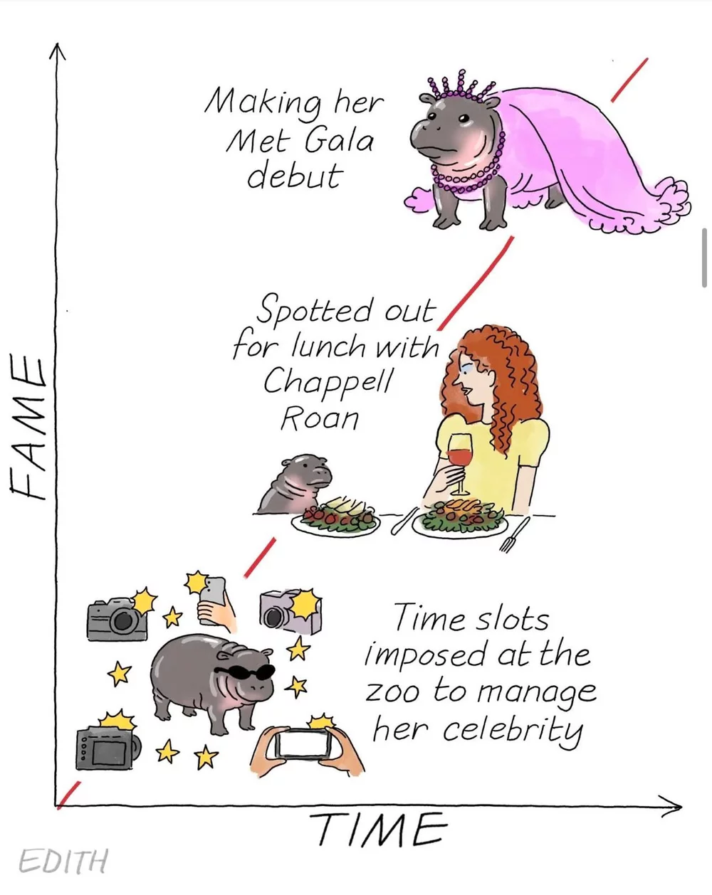 Meme about Moo Deng's rise to fame 